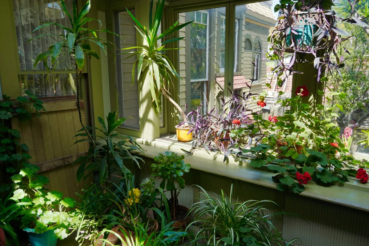 Indoor Garden At Living Room