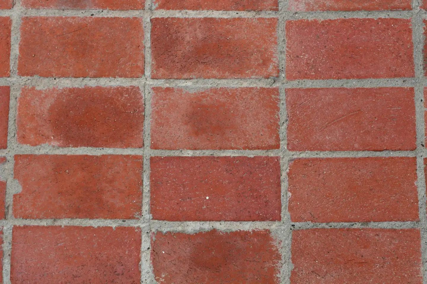 Grace Estrada IQuhdkmcdy8 Unsplash